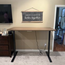 Standing Desk Office 