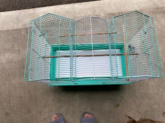 Birth cage free