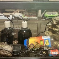 Aquatic Turtle Habitat 