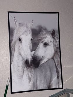 Horse canvas frame