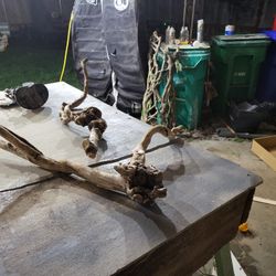 Wood For Reptile Cage. Bird Cage  Etc