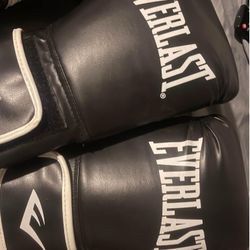 14 Oz Everlast Boxing Gloves Black 