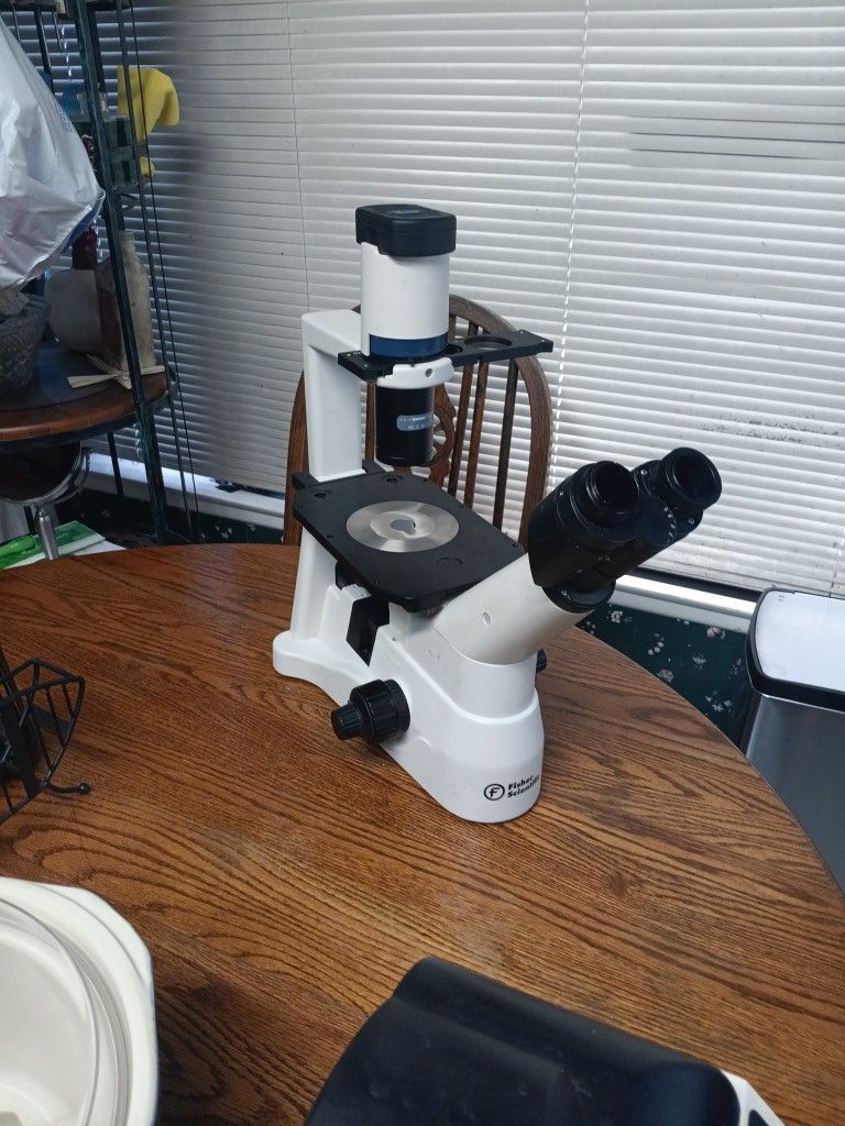 Fisher Scientific Inverted Microscope