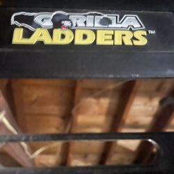 Gorilla ladder 8ft