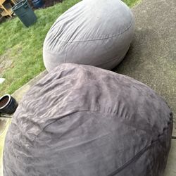 (2) Extra Large Bean Bags