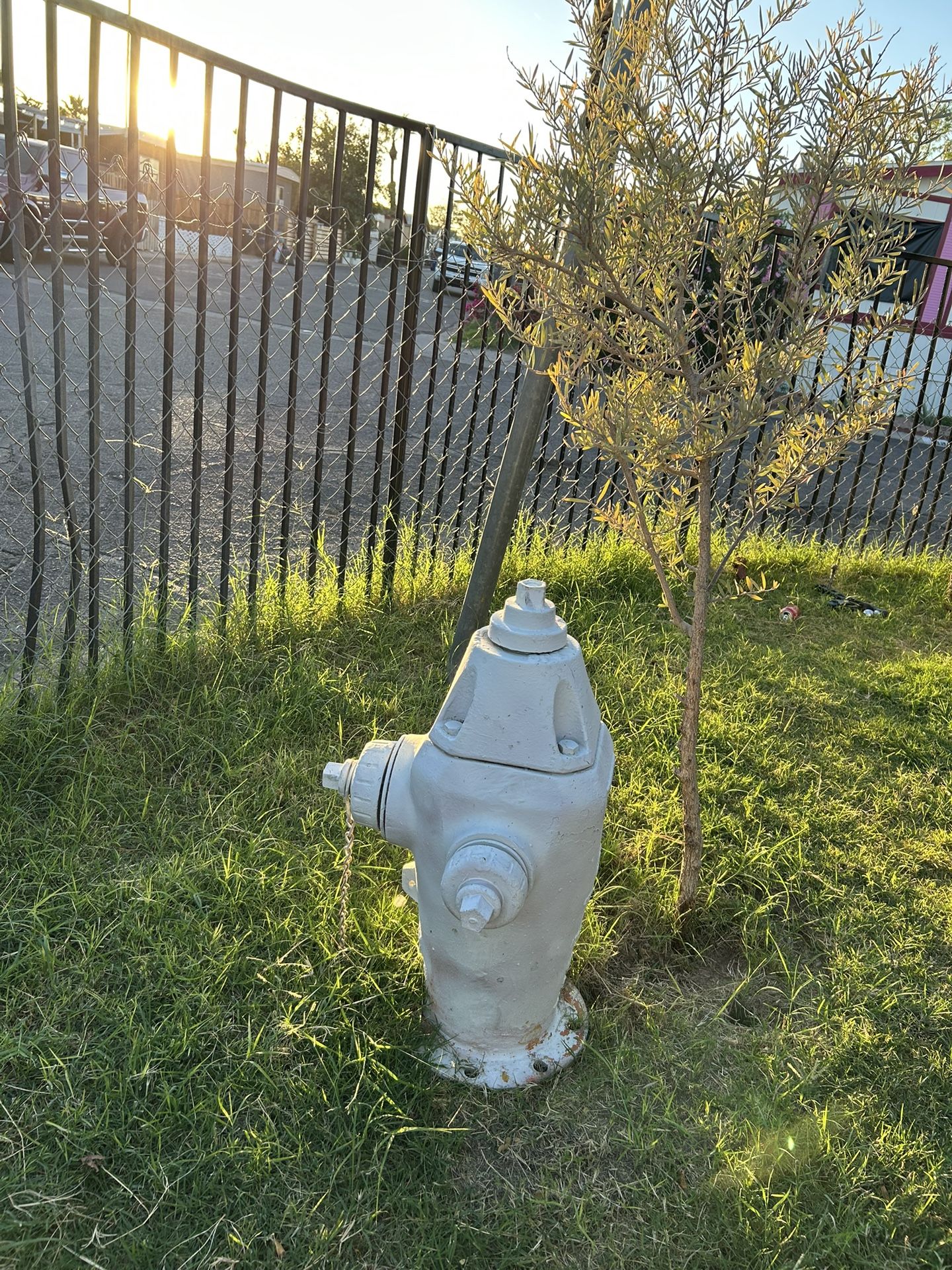 Fire Hydrant