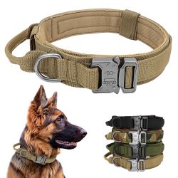 Dog Collar 
