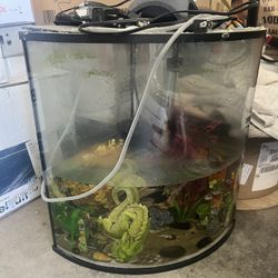 10 Gallon Fish Tank