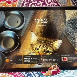 Surface pro 13 (11th Edition)