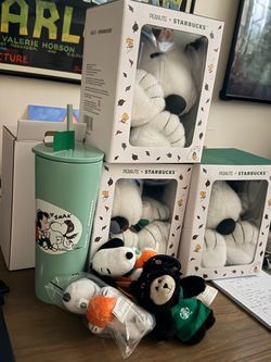 Snoopy Starbucks plush and key chains