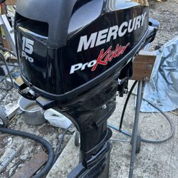 Mercury Pro 15