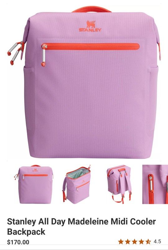 Stanley Cooler Backpack