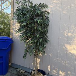 Artificial Tree 6 Feet