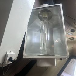 2 Hydrofarm DA Luminaire Series Grow Lights.  Lights 