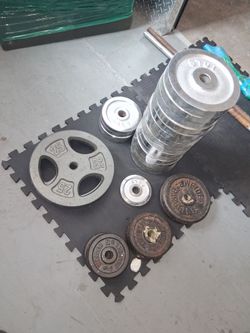 Comprehensive Weight Plate Set with Barbells (289.5 lbs)