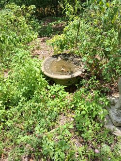 Stone bird bath