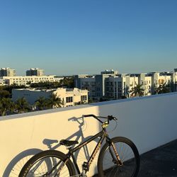 Se Bikes 2021 Fast Ripper 29