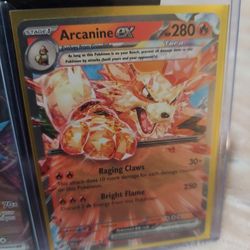 Pokemon Singles 