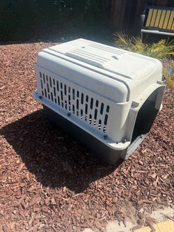 Large kennel