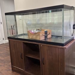 75 Gallon Tank And Stand 