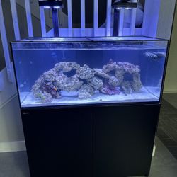 Fish Tank Red Sea 325 
