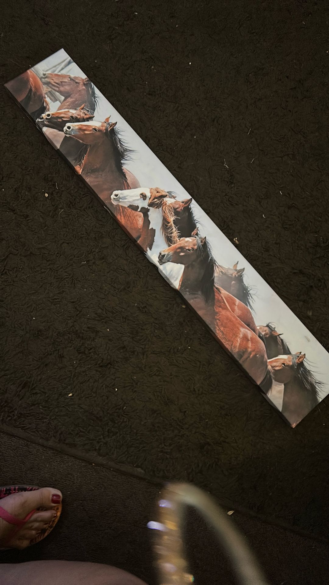 Horse Frame Wall Decor