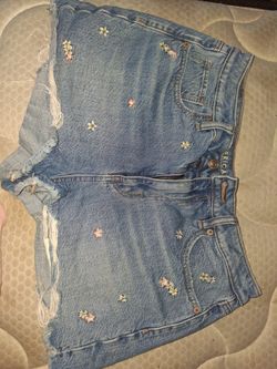 Size 10 American Eagle Floral Embroidered Denim Mom Shorts