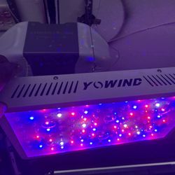Grow Light 