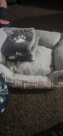 Pet cage,bed, and car seat bundle