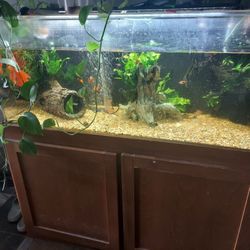 75 Gallon Acryclic Tank