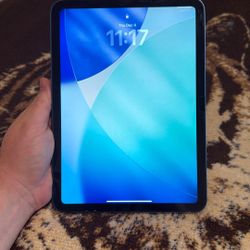 iPad A16 WiFi Only (Lastest model)