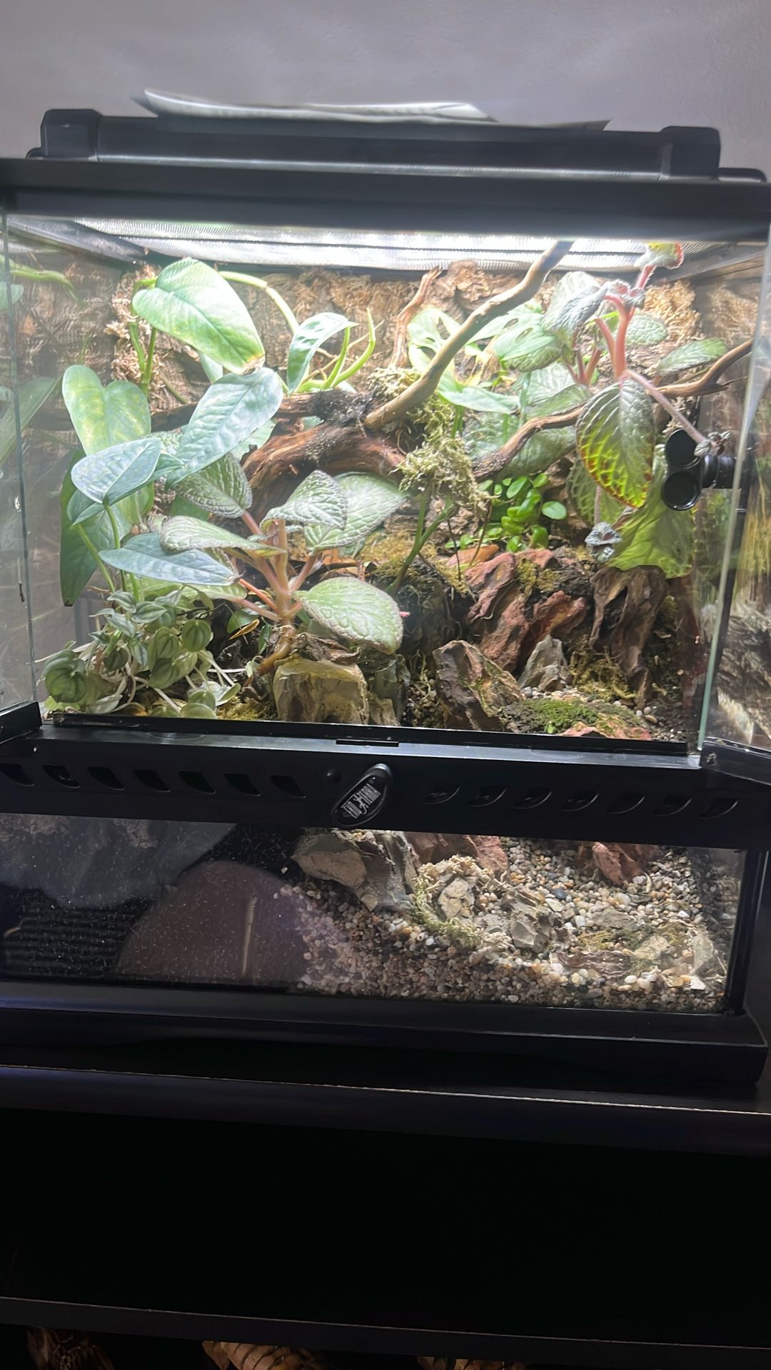 Exter terrarium