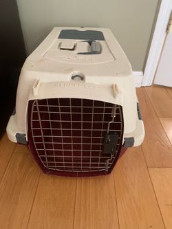 Small  Pet Carrier- Lightweight & Handy