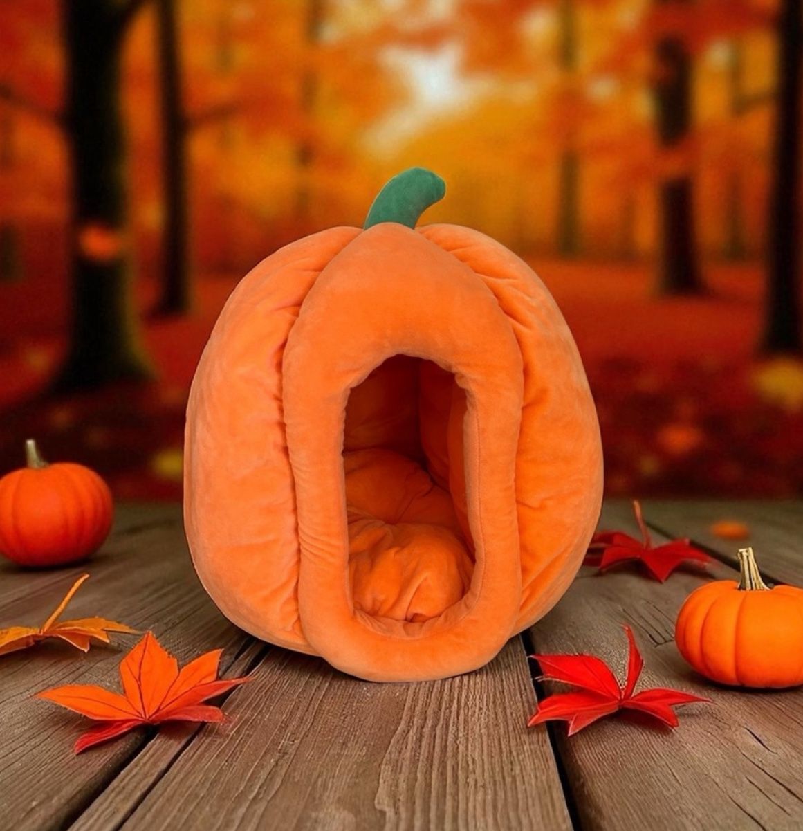 Cozy Pumpkin Cat Bed Only 15$