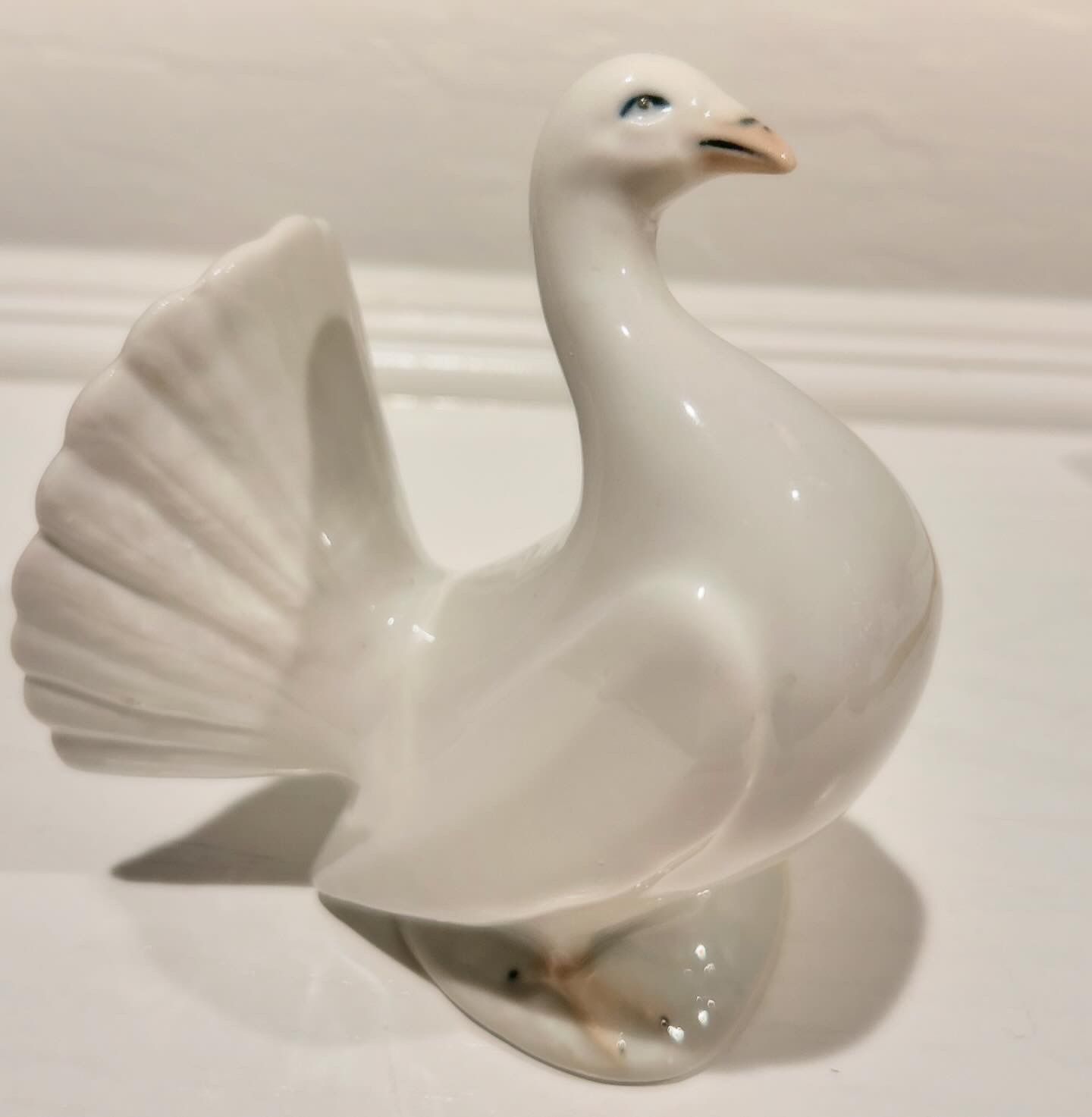 Porcelain White Dove