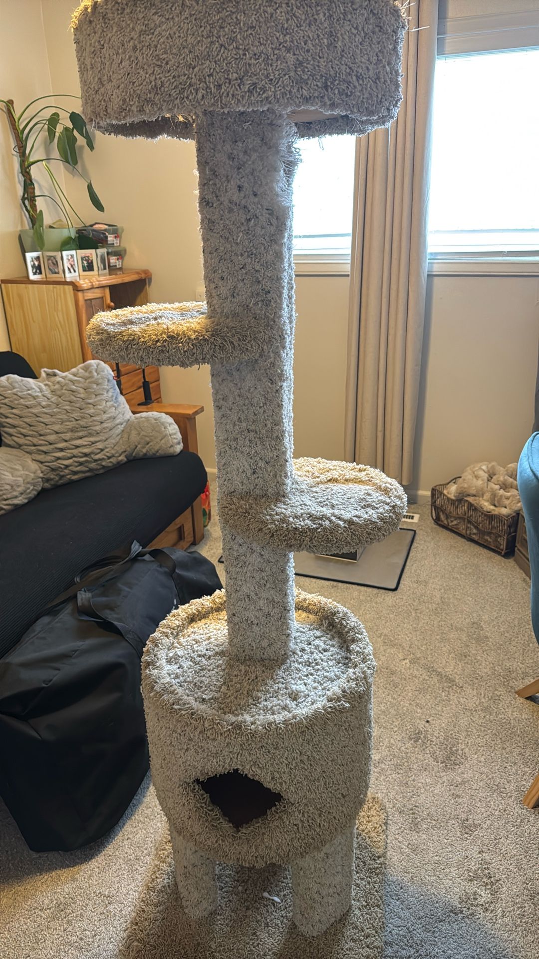 Free Cat Tree
