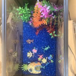 Fish Tank