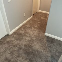 12x12 Carpet For Sale
