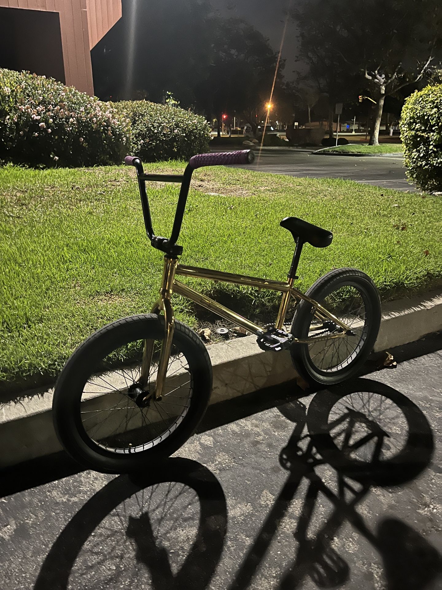Elite Bmx Bike