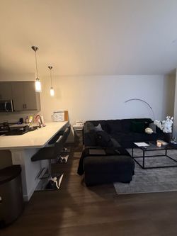 Gray couch