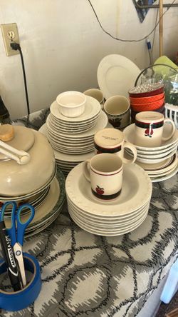 Brand new dishes