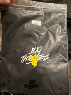 Pokemon 100 Thieves