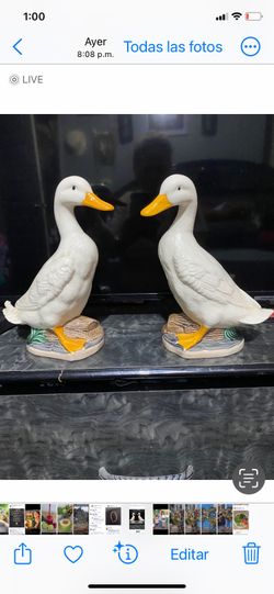 Ducks decorations