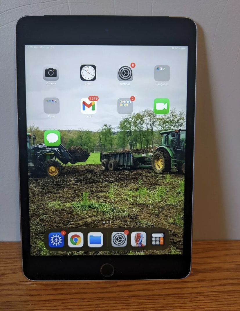 Apple iPad mini 4 128GB, Wi-Fi + Cellular (Unlocked), 7.9in - Gray