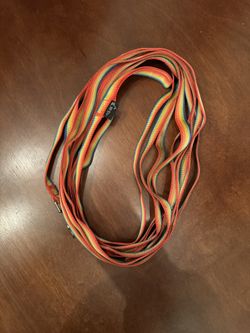 Rainbow 25ft Training Leash