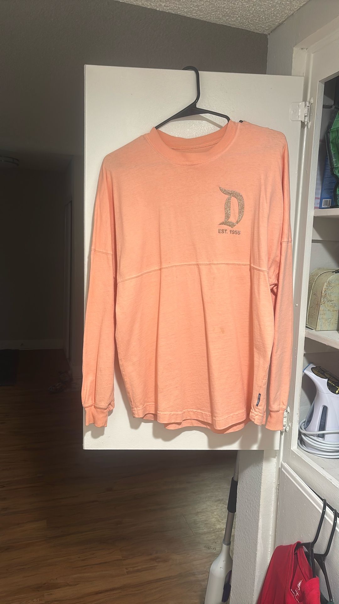 Disneyland Spirit Jersey