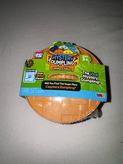RMS Dumplings CrazyFun