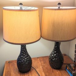 2 Decorative Table Lamps 