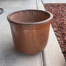 Medium Size Plant Pot