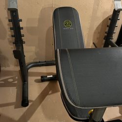 Gold's Gym XRS 20 Adjustable Olympic Workout Bench with Squat Rack, Leg Extension, Preacher Curl, and Weight Storage